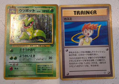 Misty gym leader - gym, &