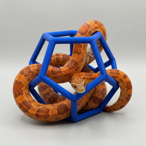 Snake jungle gym - snake, reptile