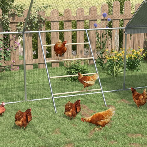 Chicken perch for coop - perch,